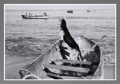 Untitled, Puerto Vallarta