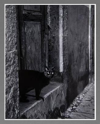 Untitled, Puerto Vallarta