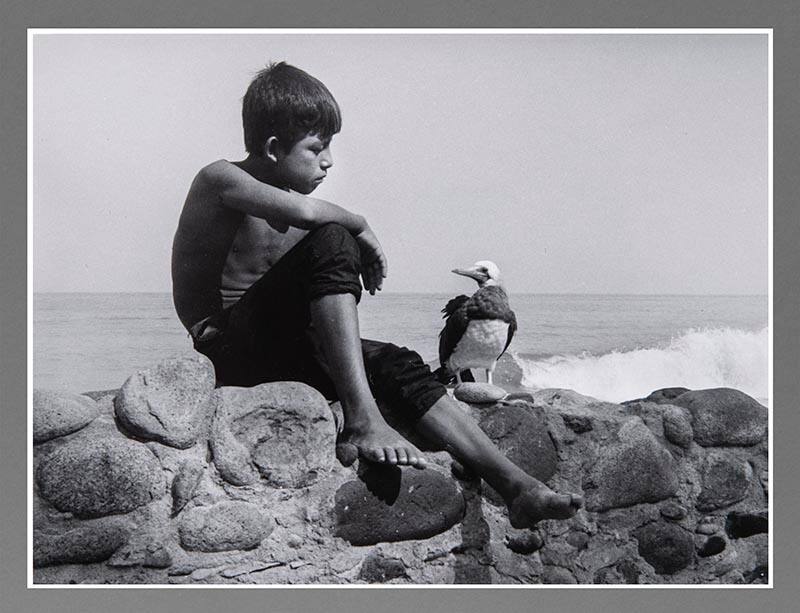 Untitled, Puerto Vallarta