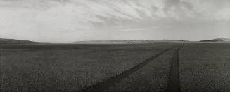 Lake Bed, Palo Blanco, New Mexico, 1983