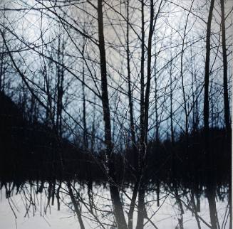Untitled [Wilderness 38044-6-08]