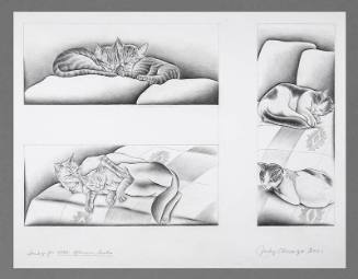 Study for 4 PM: Afternoon Siesta