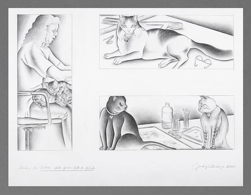 Study for 2 PM: Take Your Cats to Work