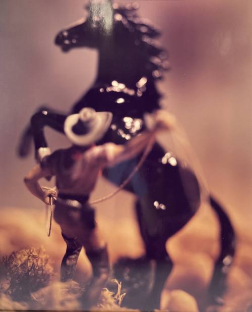 Untitled (Cowboy, rearing horse with landscape)