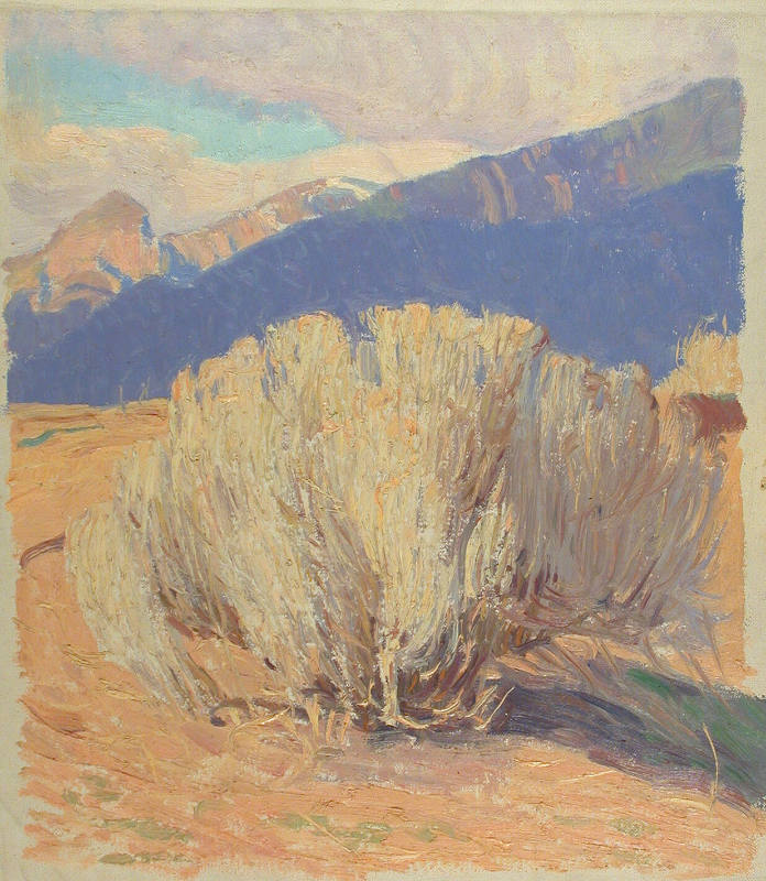 Untitled (desert bush and mountains)