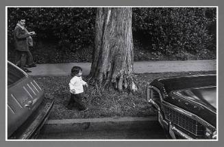 Little Girl between Cars