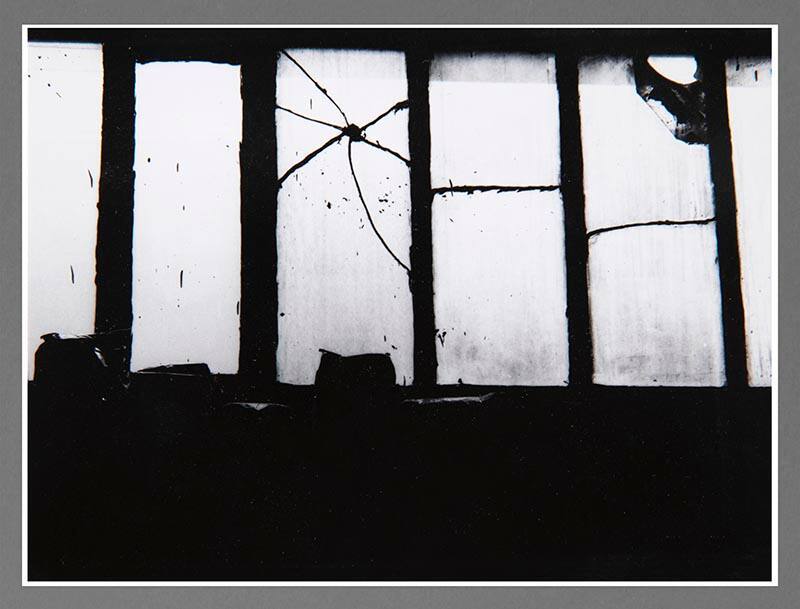 Back Window