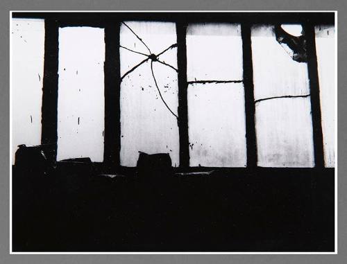 Back Window