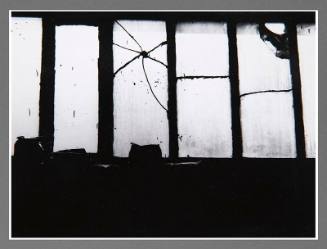 Back Window