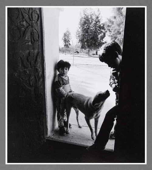 Boys and Dog: Kino Mission