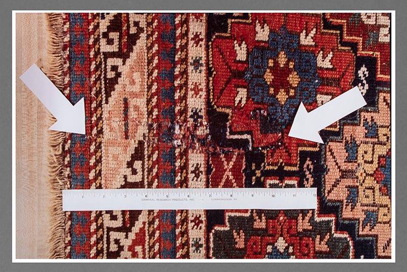 Exhibit A: Oriental Rug Chewed