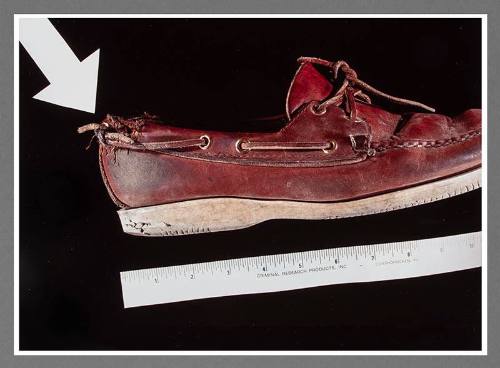 Exhibit B: Moccasin Attacked