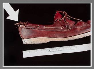 Exhibit B: Moccasin Attacked