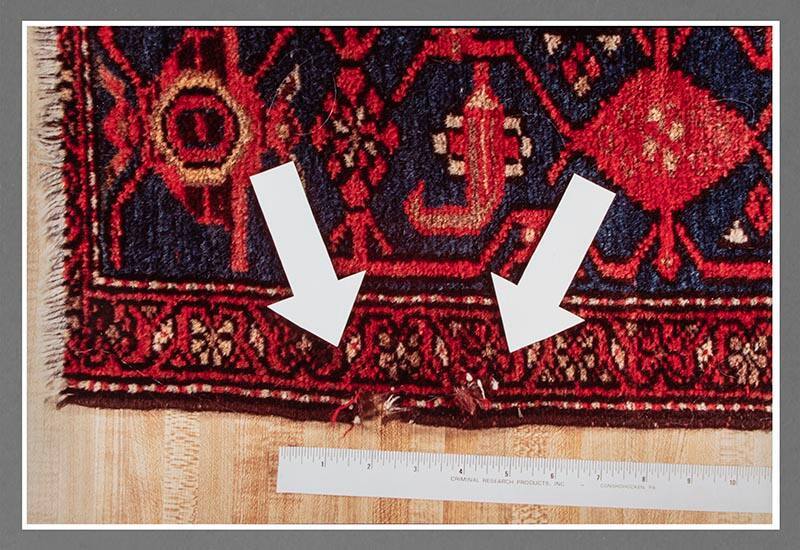 Exhibit C: Second Oriental Rug Chewed