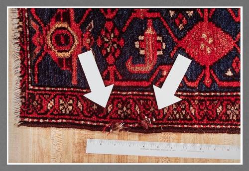 Exhibit C: Second Oriental Rug Chewed