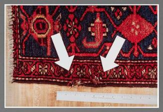 Exhibit C: Second Oriental Rug Chewed