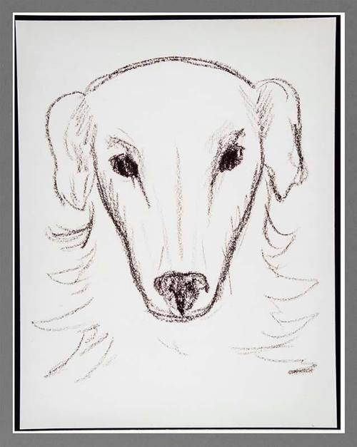 Exhibit I: Police Sketch of Suspect
