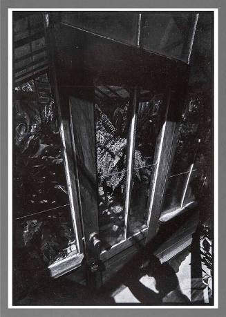 L.A. Arboretrum