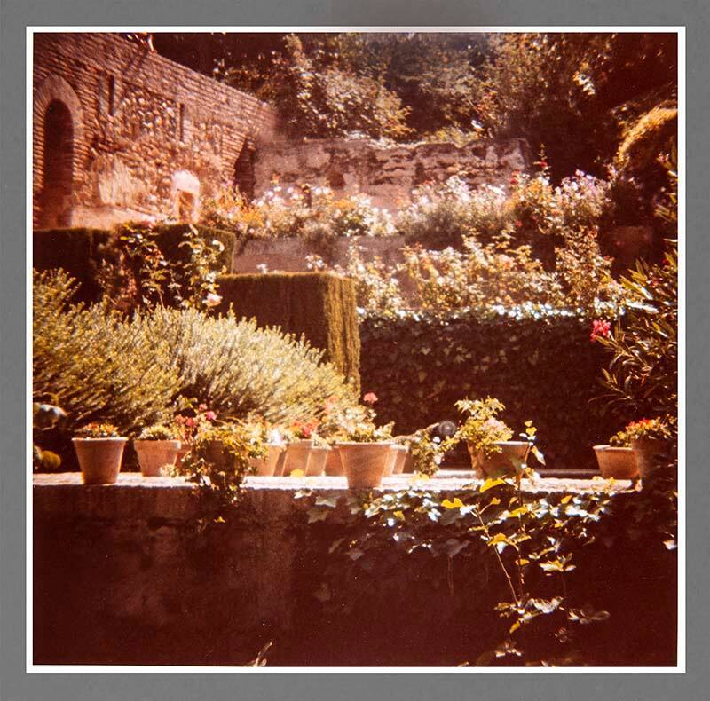 Walls, Garden of the Alcazar, Seville