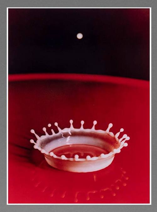 Milk Drop Coronet