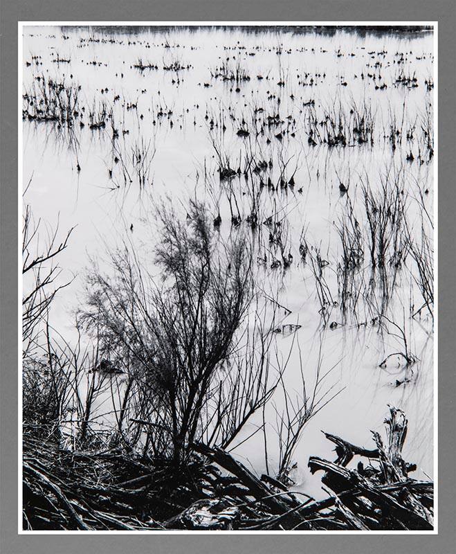 Bitter Lakes