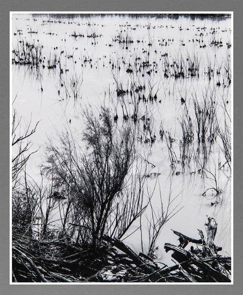 Bitter Lakes