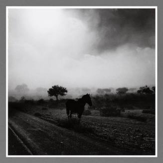 Horse, 1963
