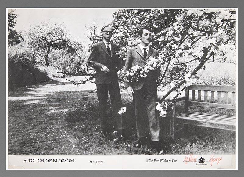 A Touch of Blossom