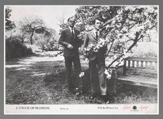 A Touch of Blossom