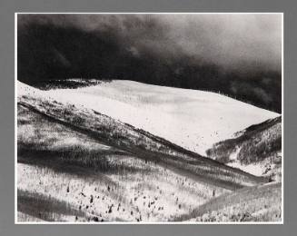 Winter in Little Tesuque