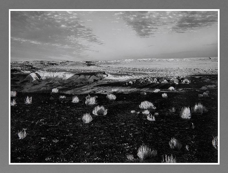 Petrified Forest, Arizona