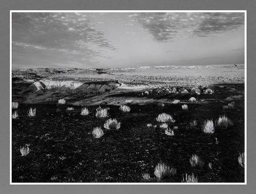 Petrified Forest, Arizona