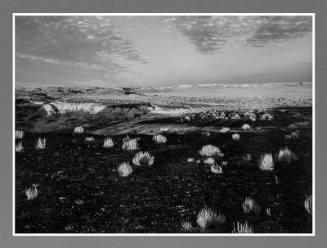 Petrified Forest, Arizona