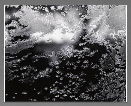 Frosted Window, Revere
