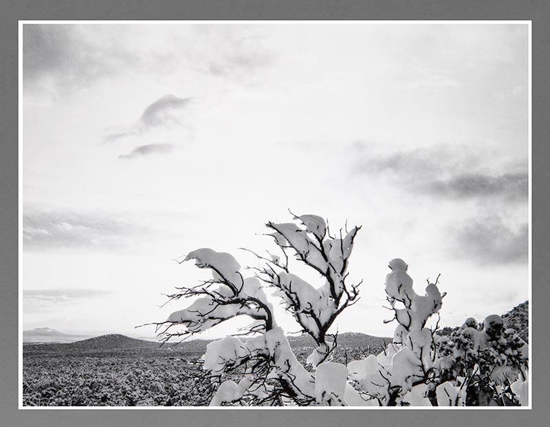 Santa Fe, New Mexico, May Snowstorm