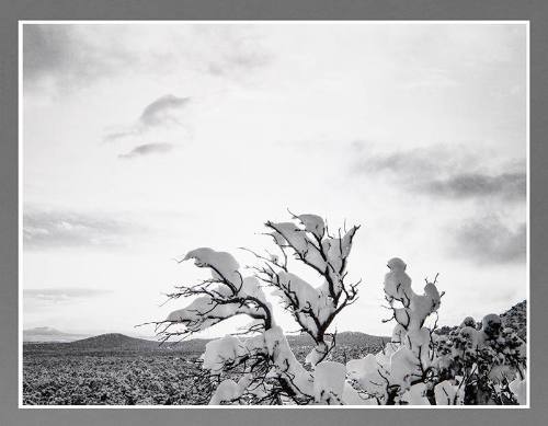 Santa Fe, New Mexico, May Snowstorm