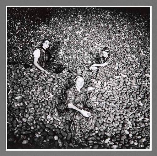 Potato Harvest, Inside Wheeler Shed, Washington