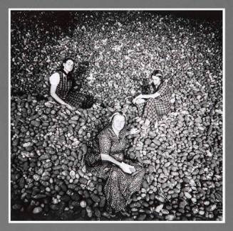 Potato Harvest, Inside Wheeler Shed, Washington