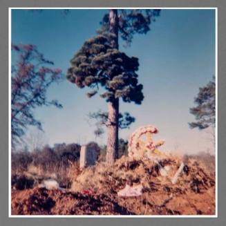 Grave, Windy Day, Stewart, Alabama