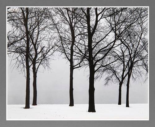 Harry Callahan