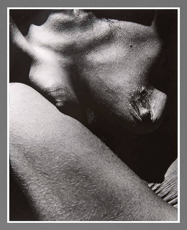 Untitled (Taos Nude)