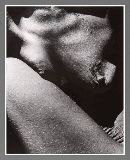 Untitled (Taos Nude)