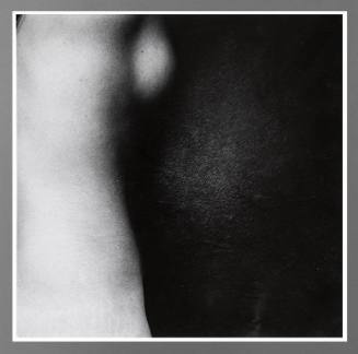 Untitled (Figure abstraction)