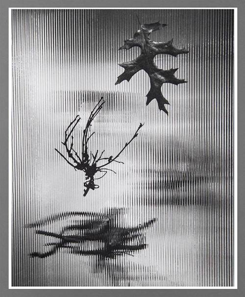 Untitled (Leaves)