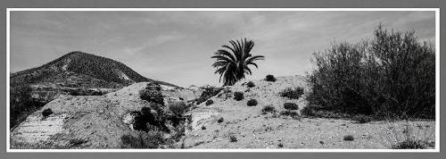 Tabernas Almeria, Andalusia, Spain