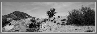 Tabernas Almeria, Andalusia, Spain