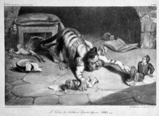 Le Chat le Belotte et Petit Lapin