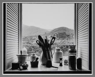 Still-life at a window