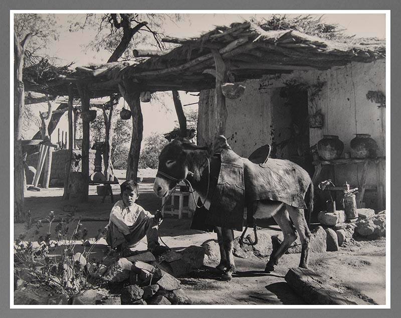 Amigos - Mexico