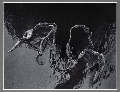 Untitled (Kelp)
